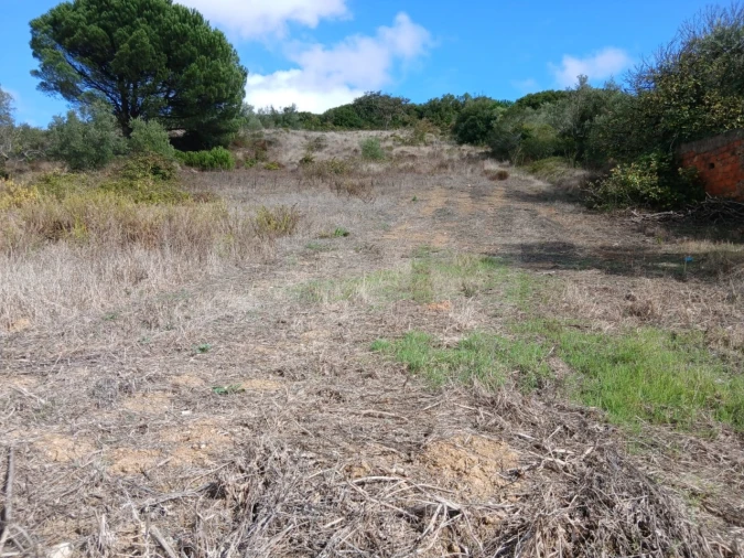 Terreno para Venda em Arranho Foto 8