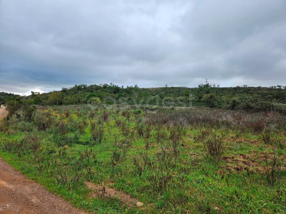 Terreno Agricola ou Rústico para Venda em São Bartolomeu de Messines Foto 2