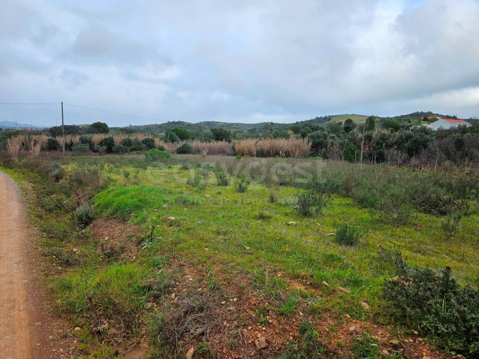Terreno Agricola ou Rústico para Venda em São Bartolomeu de Messines Foto 5
