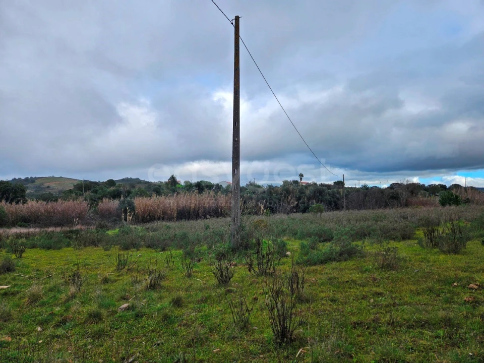 Terreno Agricola ou Rústico para Venda em São Bartolomeu de Messines Foto 7