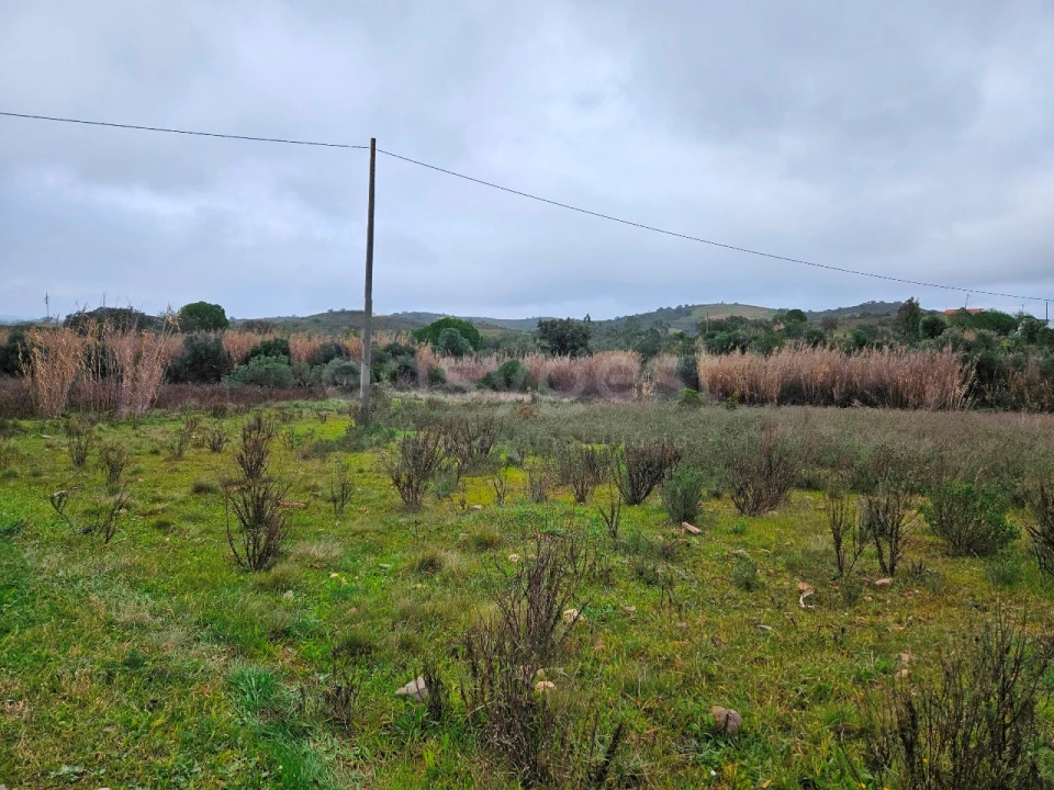 Terreno Agricola ou Rústico para Venda em São Bartolomeu de Messines Foto 9