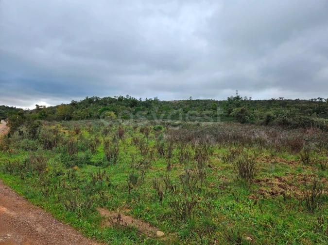 Terreno Agricola ou Rústico para Venda em São Bartolomeu de Messines Foto 2