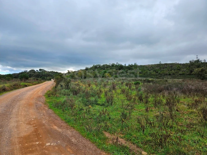 Terreno Agricola ou Rústico para Venda em São Bartolomeu de Messines Foto 3