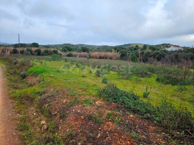 Terreno Agricola ou Rústico para Venda em São Bartolomeu de Messines Foto 6