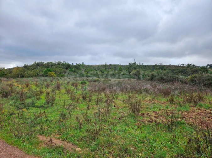 Terreno Agricola ou Rústico para Venda em São Bartolomeu de Messines Foto 8