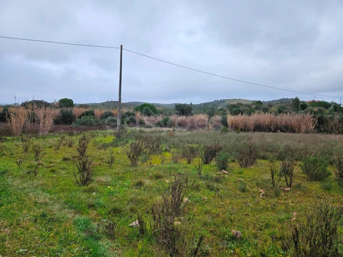 Terreno Agricola ou Rústico para Venda em São Bartolomeu de Messines Foto 9