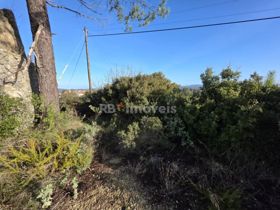 Terreno Agricola ou Rústico para Venda em Carregueiros Foto 4