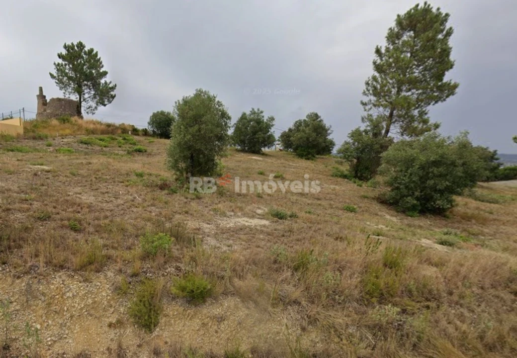 Terreno Agricola ou Rústico para Venda em Carregueiros Foto 1