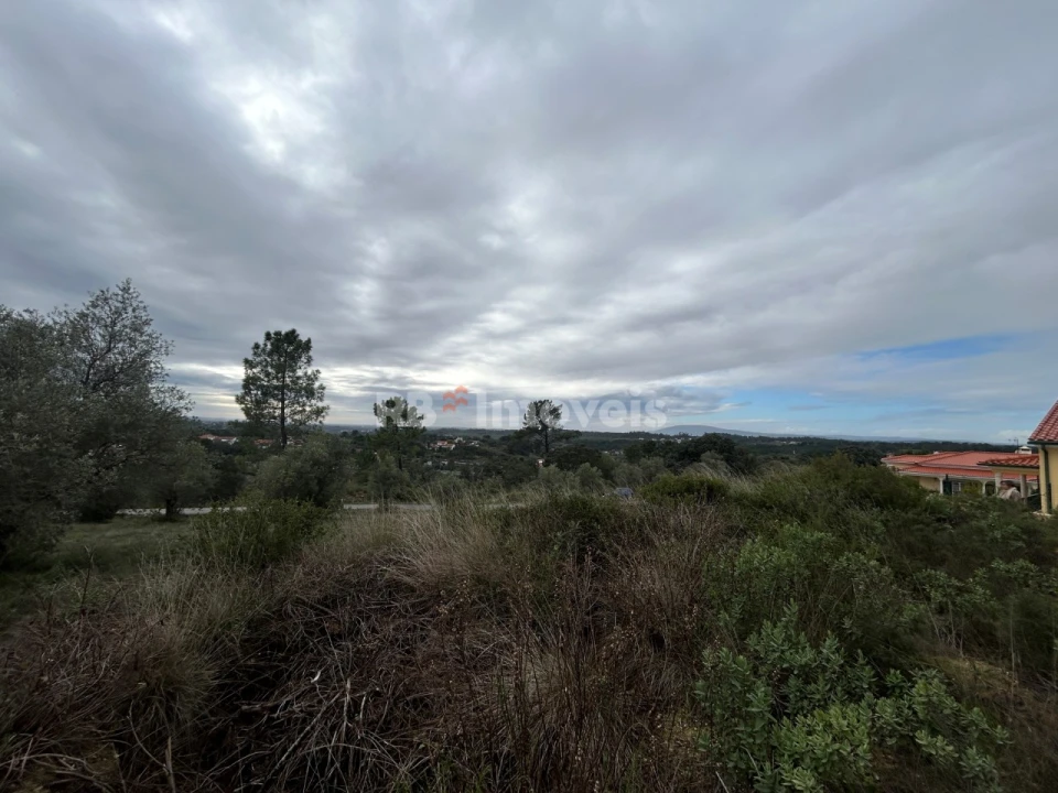 Terreno Agricola ou Rústico para Venda em Carregueiros Foto 9