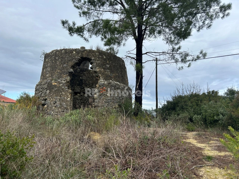 Terreno Agricola ou Rústico para Venda em Carregueiros Foto 15