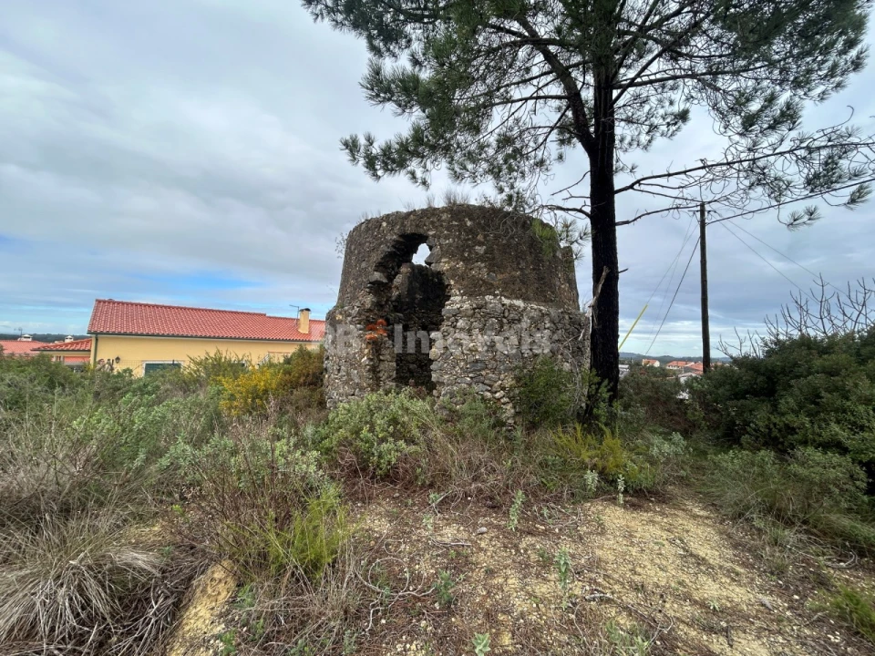 Terreno Agricola ou Rústico para Venda em Carregueiros Foto 16