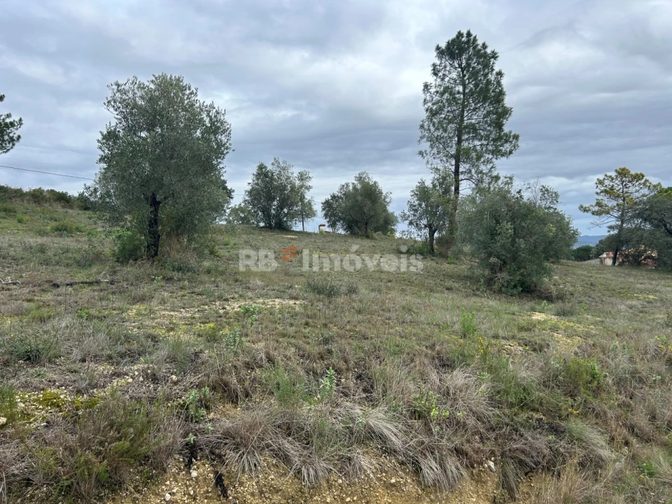 Terreno Agricola ou Rústico para Venda em Carregueiros Foto 24