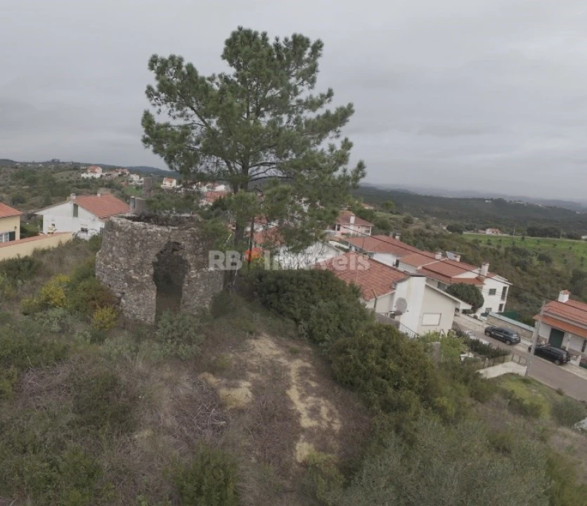 Terreno Agricola ou Rústico para Venda em Carregueiros Foto 21
