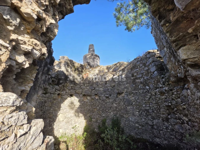 Terreno Agricola ou Rústico para Venda em Carregueiros Foto 5