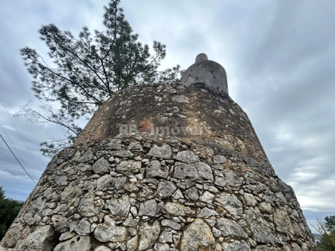Terreno Agricola ou Rústico para Venda em Carregueiros Foto 10