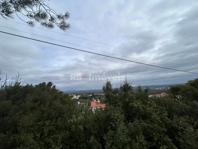 Terreno Agricola ou Rústico para Venda em Carregueiros Foto 8