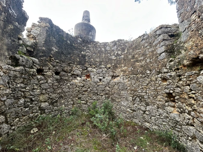 Terreno Agricola ou Rústico para Venda em Carregueiros Foto 12