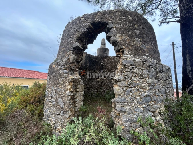 Terreno Agricola ou Rústico para Venda em Carregueiros Foto 3