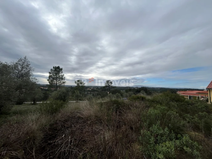 Terreno Agricola ou Rústico para Venda em Carregueiros Foto 9