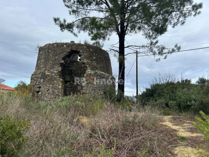 Terreno Agricola ou Rústico para Venda em Carregueiros Foto 15