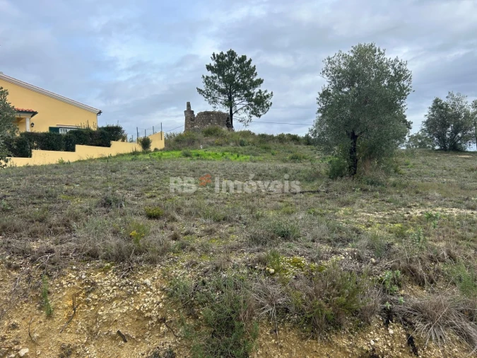 Terreno Agricola ou Rústico para Venda em Carregueiros Foto 23