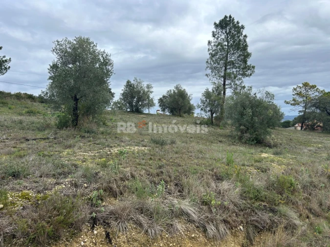 Terreno Agricola ou Rústico para Venda em Carregueiros Foto 24