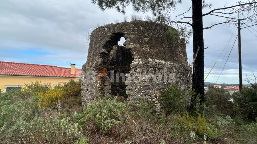 Terreno Agricola ou Rústico para Venda em Carregueiros