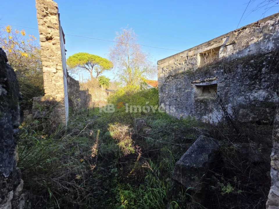 Terreno para Venda em Assentiz Foto 1