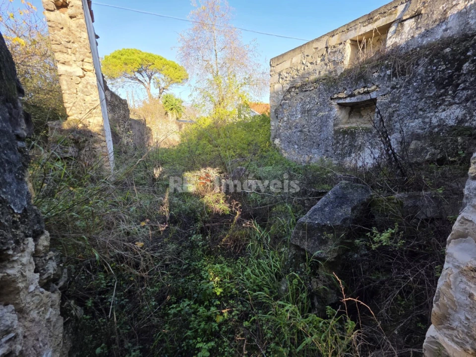 Terreno para Venda em Assentiz Foto 2