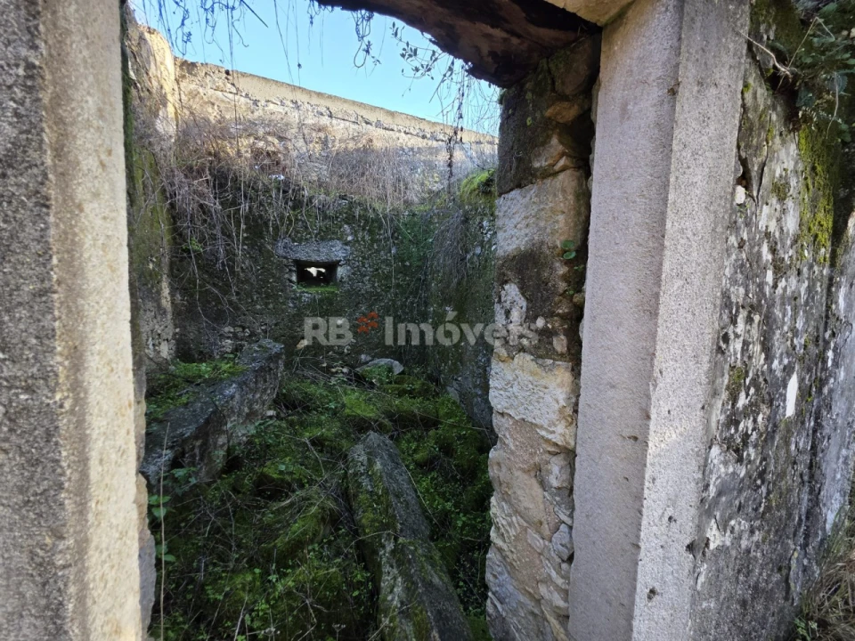Terreno para Venda em Assentiz Foto 4