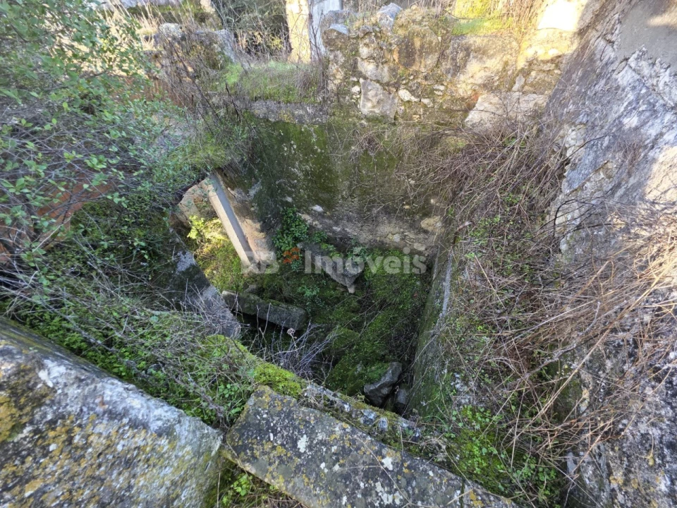 Terreno para Venda em Assentiz Foto 6