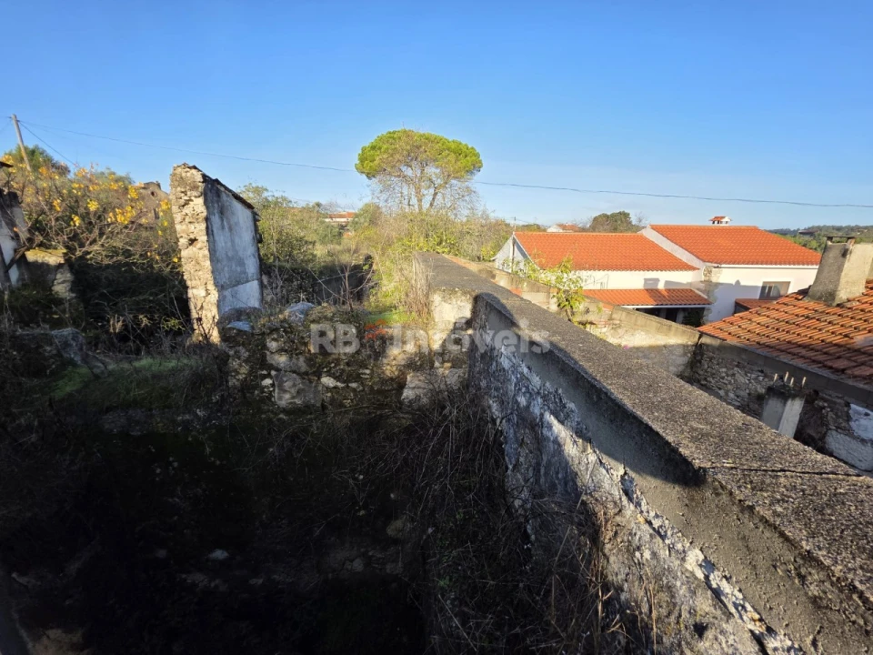 Terreno para Venda em Assentiz Foto 7