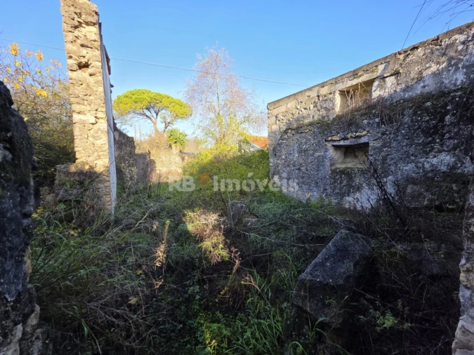 Terreno para Venda em Assentiz Foto 1