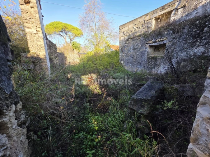 Terreno para Venda em Assentiz Foto 2