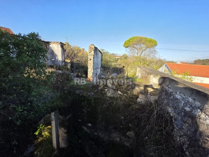 Terreno para Venda em Assentiz Foto 5