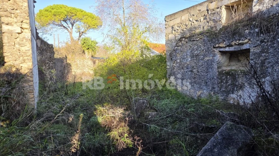 Terreno para Venda em Assentiz