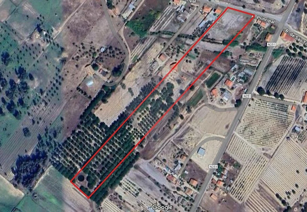 Terreno para Venda em Branca Foto 1