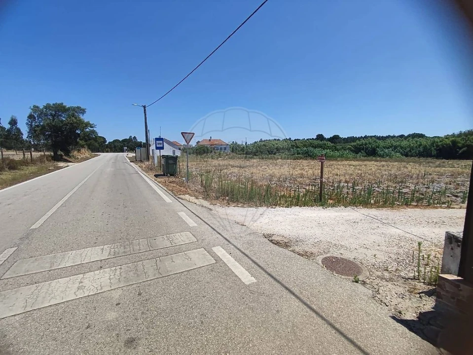 Terreno para Venda em Branca Foto 2