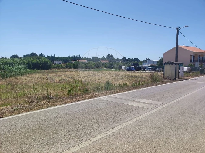 Terreno para Venda em Branca Foto 9