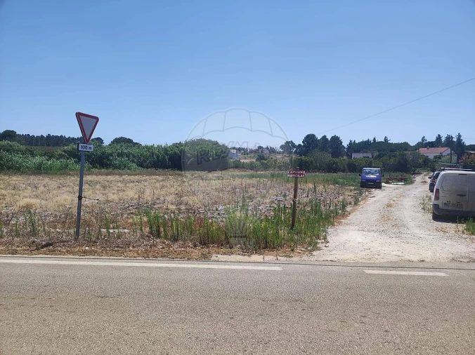 Terreno para Venda em Branca Foto 7
