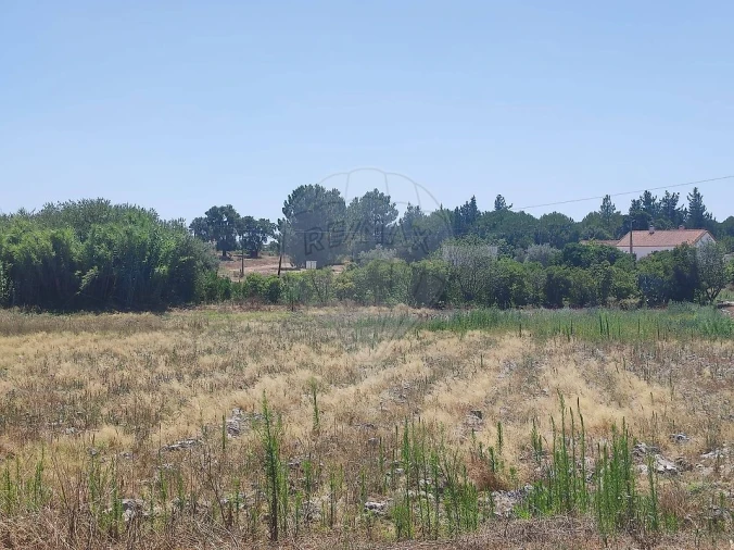 Terreno para Venda em Branca Foto 12