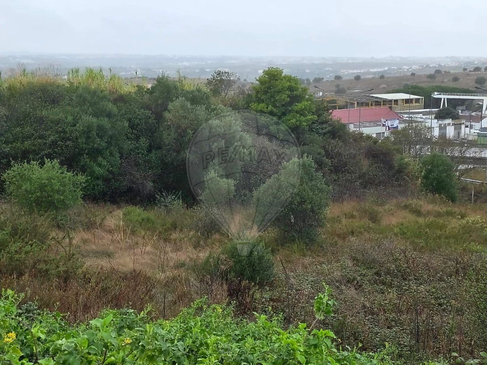 Terreno para Venda em Almargem do Bispo, Pêro Pinheiro e Montelavar Foto 6