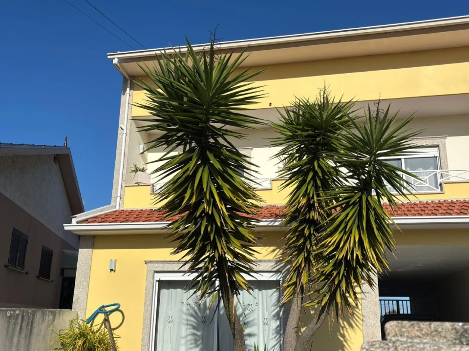 Moradia T4 para Venda em Eixo e Eirol Foto 4