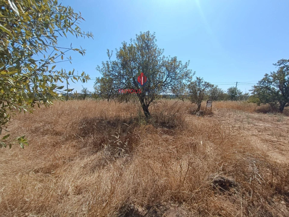 Terreno Agricola ou Rústico para Venda em Alcantarilha e Pêra Foto 3