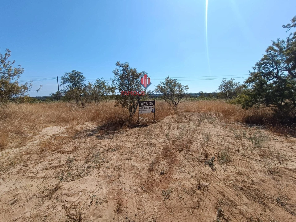 Terreno Agricola ou Rústico para Venda em Alcantarilha e Pêra Foto 7