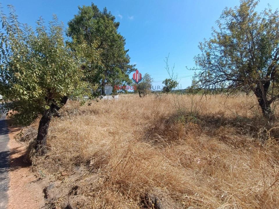 Terreno Agricola ou Rústico para Venda em Alcantarilha e Pêra Foto 8