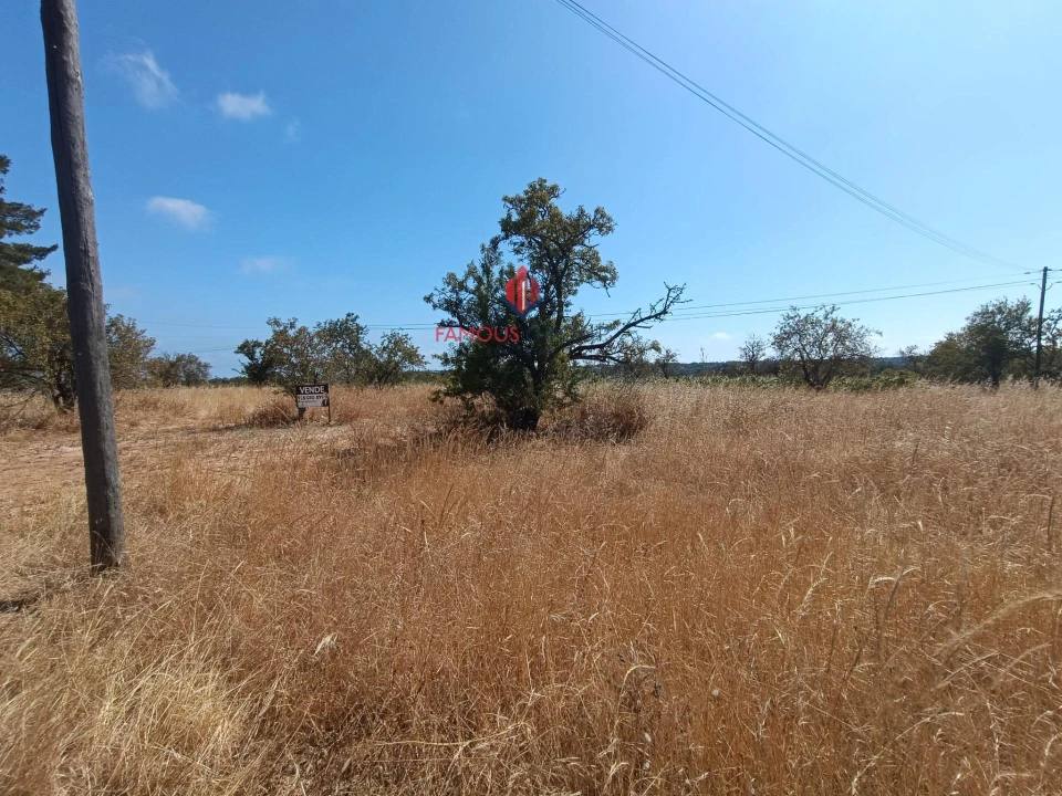 Terreno Agricola ou Rústico para Venda em Alcantarilha e Pêra Foto 9