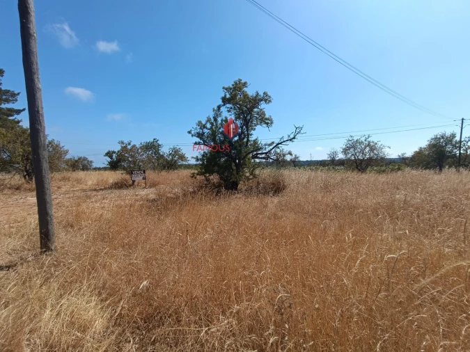 Terreno Agricola ou Rústico para Venda em Alcantarilha e Pêra Foto 9