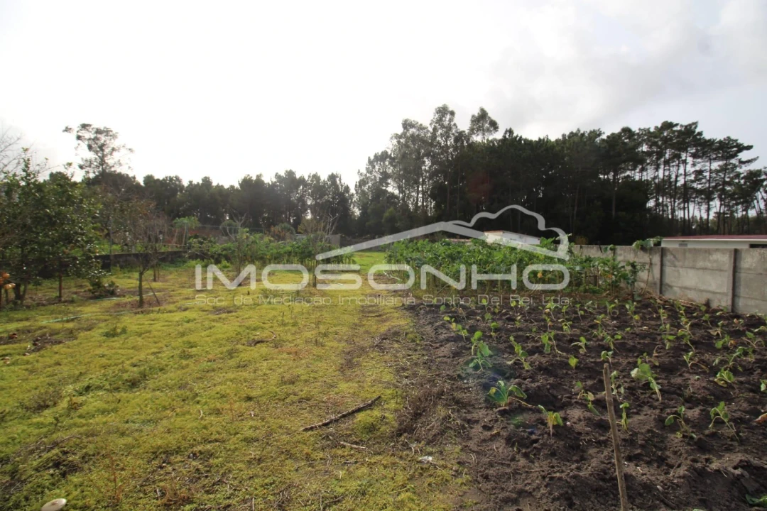 Terreno para Venda em Marinha Grande Foto 5