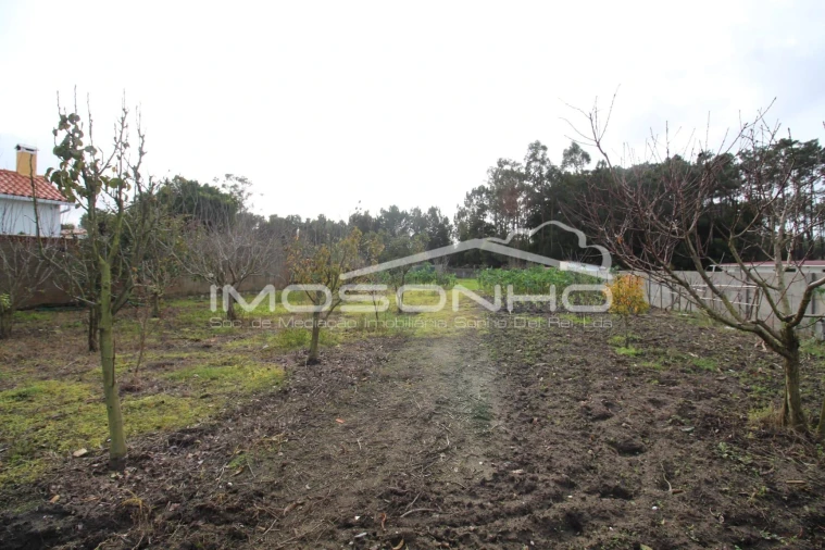 Terreno para Venda em Marinha Grande Foto 4
